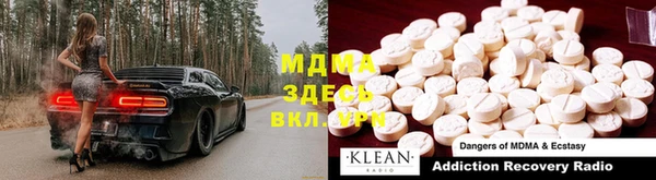 прущие грибы Слюдянка