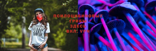 прущие грибы Слюдянка