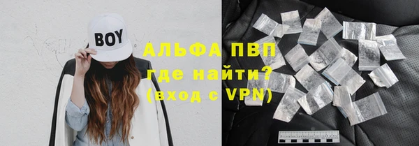 прущие грибы Слюдянка