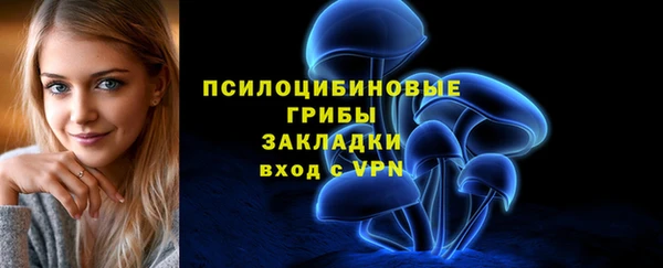 бошки Сосновый Бор