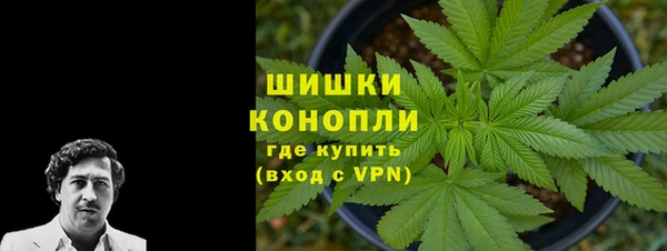 бошки Сосновый Бор