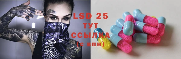 ГАЛЛЮЦИНОГЕННЫЕ ГРИБЫ Сосновка