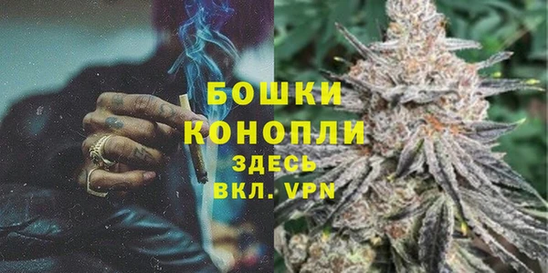 тгк Белокуриха