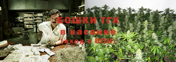 прущие грибы Слюдянка