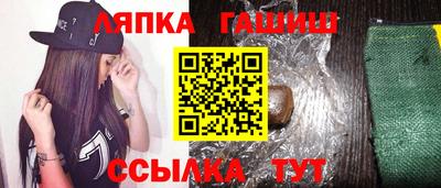 крисы Гай
