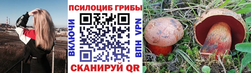 Галлюциногенные грибы Cubensis  Химки 