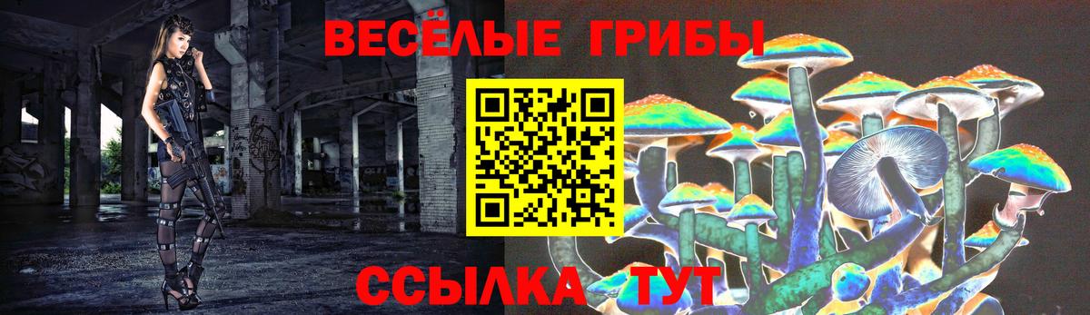 Галлюциногенные грибы Psilocybe Химки