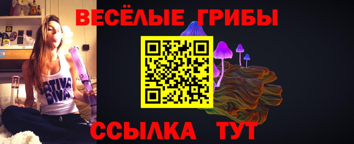 Химки  Псилоцибиновые грибы Cubensis  где продают наркотики  Вход с VPN  Галлюциногенные грибы мицелий 